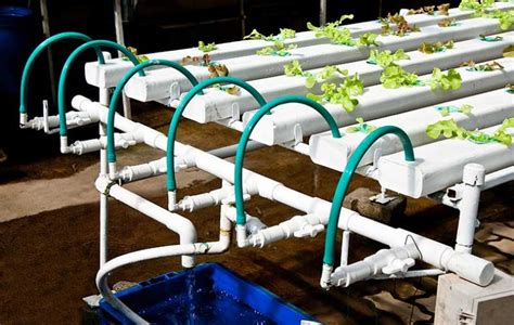 hydroponic growing channels